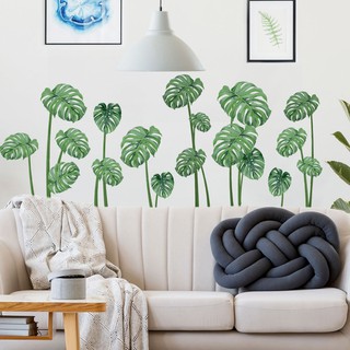 Decal Dán Tường Cây Cỏ Nam Phi