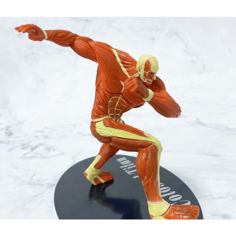 Mô hình Attack On Titan - Titan hình, khổng lồ Colossal, búa chiến, tiến công Eren, thiết giáp Reiner AOT08