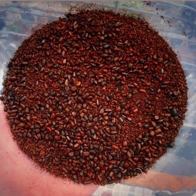 Trà Nướng chuẩn vị Caramel