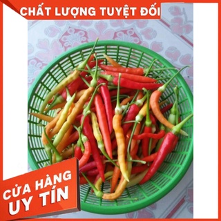 ớt tằm siêu cay thái lan