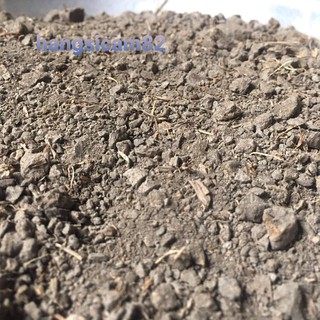 5KG ĐẤT THỊT PHÙ SA TRỒNG CÂY.