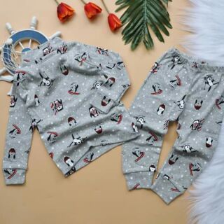 Combo 7 bộ đồ dài Carter's cổ 3p