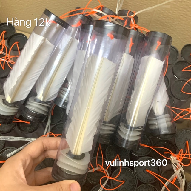 Cầu đá tập luyện