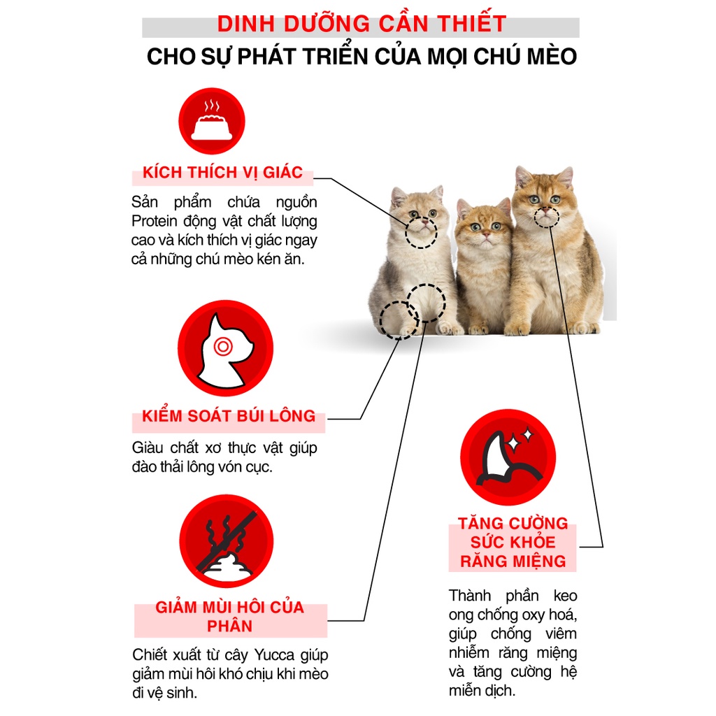 Hạt Today's Dinner cho mèo mọi lứa tuổi - mèo con - mèo trưởng thành túi 1kg Bốn Chân Pet Shop
