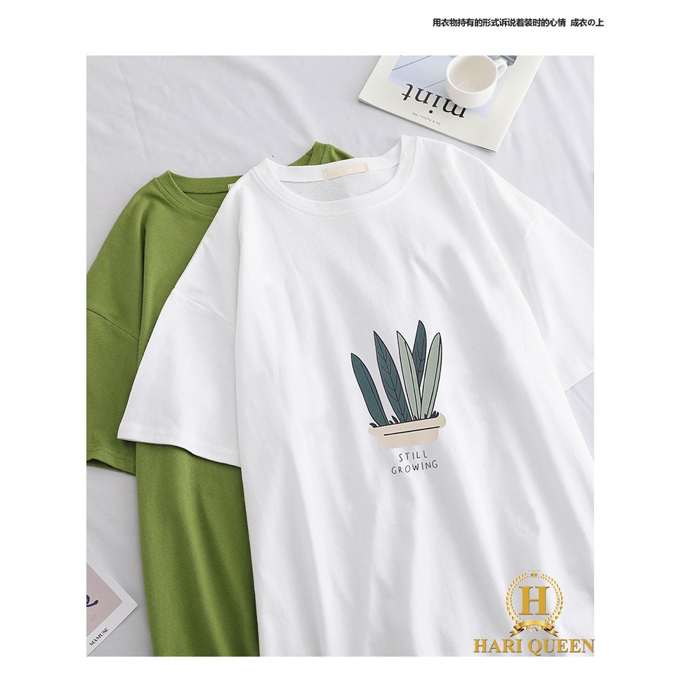 [FREESHIP ĐƠN TỪ 50K] Áo phông chậu cây lá Still HARI0420