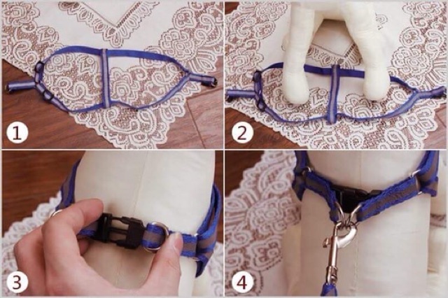 Dây dẫn Yếm cho Thú cưng