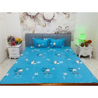 Bộ ga gối chun trần 3 món 2mx2m2