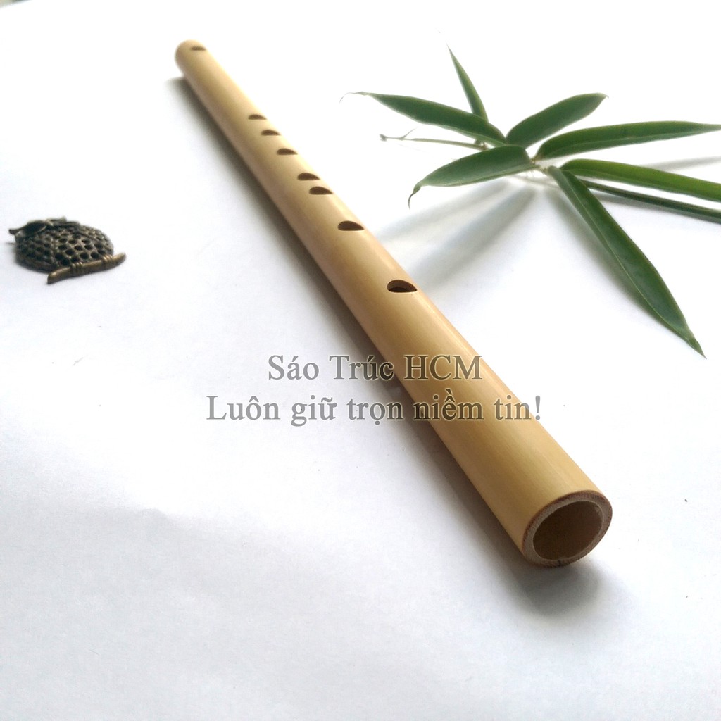Sáo dọc HCM8