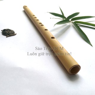 Sáo dọc HCM8