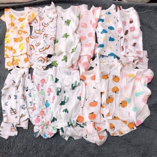 Combo 4b cotton thông hơi xuất nhật - NP