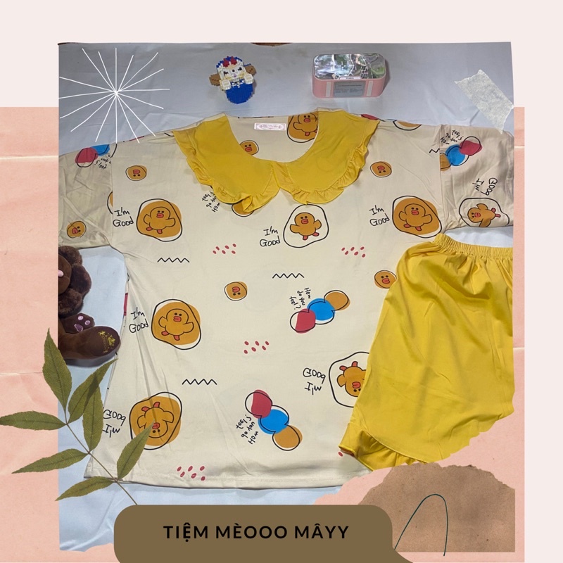 Đồ Ngủ 🌸Bộ Đồ Ngủ Nữ Ngắn Tay Xinh Xắn Cổ Bèo Mùa Hè Cute Phong Cách Hàn Quốc-Tiệm Mèoo Mâyy | BigBuy360 - bigbuy360.vn