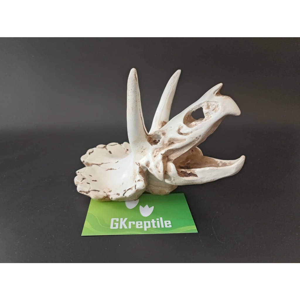 Mô hình trang trí sọ khủng long cho chuồng nuôi