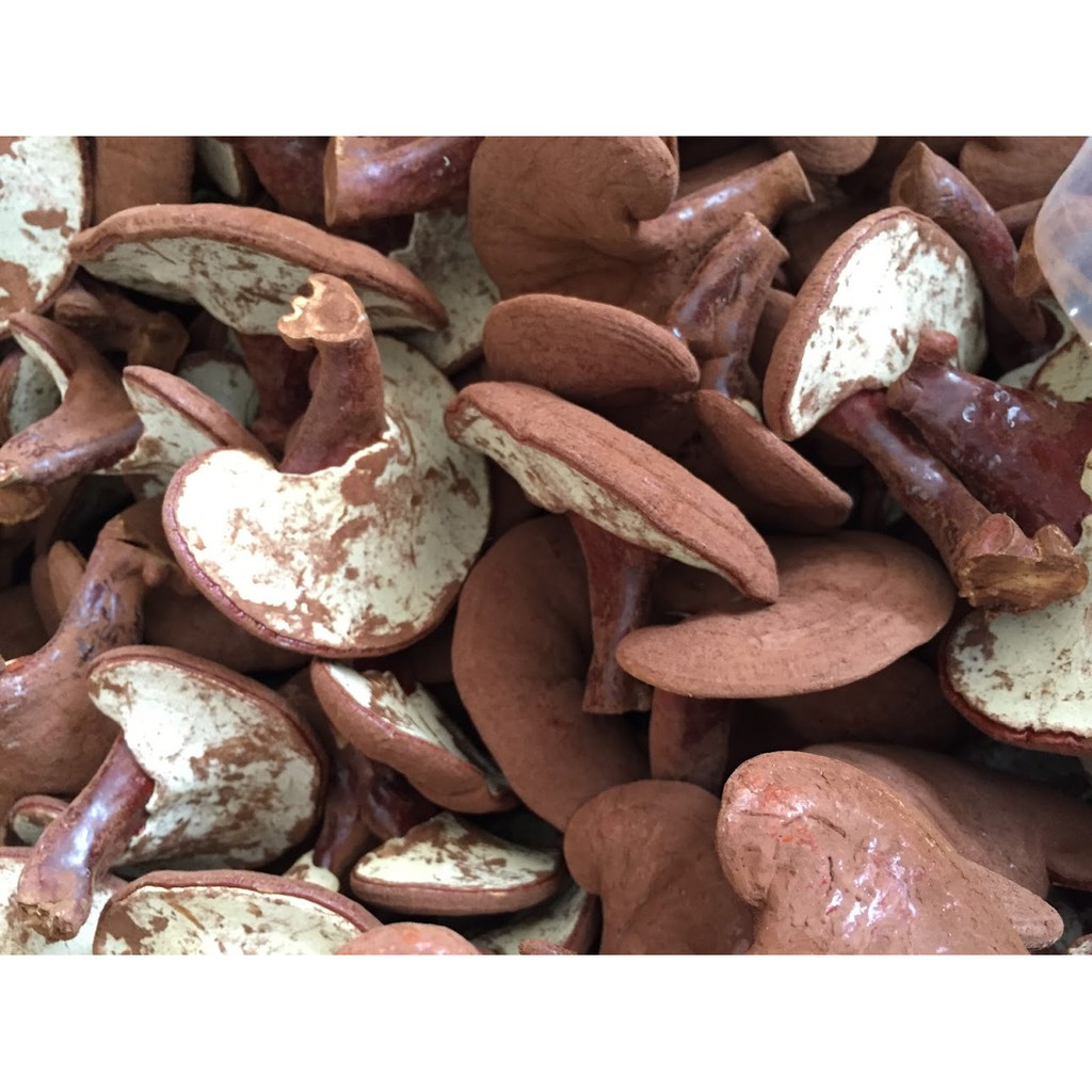 Nấm linh chi đỏ Việt Nam 500g loại thường (Giống nấm xích chi)