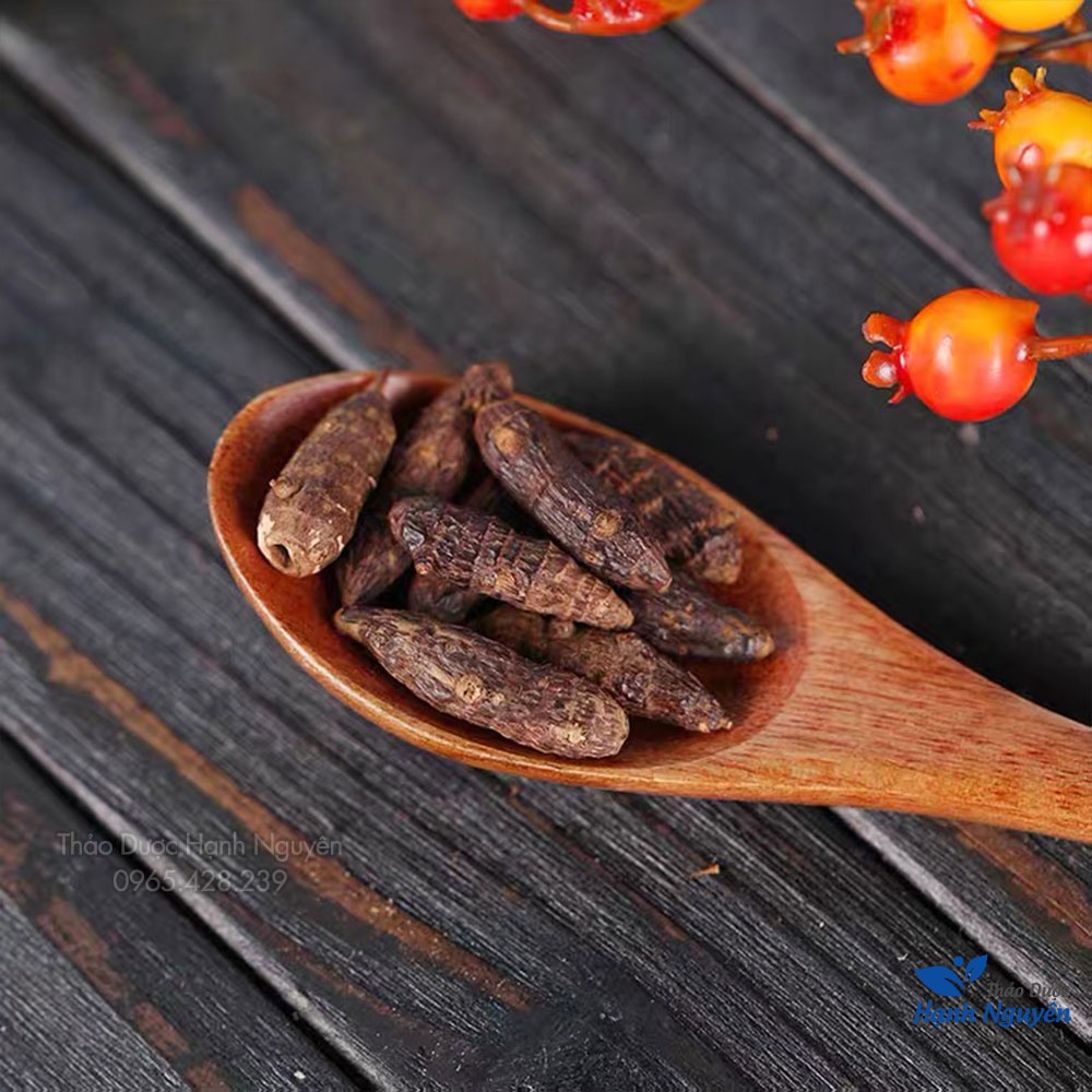 Hương phụ 500g ( Cây cỏ gấu, củ gấu tàu) - Thảo Dược Hạnh Nguyên