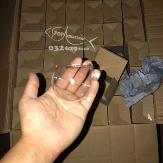 CỐC TRỒNG CÂY THỦY SINH