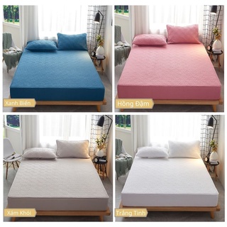 Bộ ga gối trần bông drap gối + 2 vỏ gối 1m6 và 1m8 cotton 100% Hàn Quốc bo chun cho drap giường ga trải giường