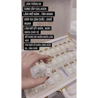 BỘT UỐNG COLLAGEN YẾN CHISELEN NHẬT BẢN