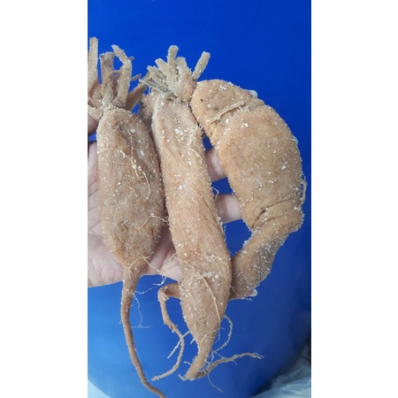 1kg củ cải muối sóc trăng ( xá pấu )