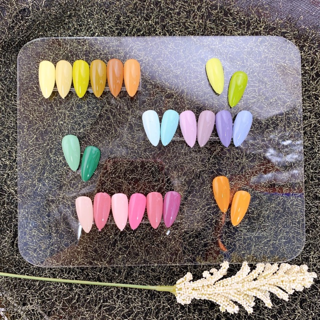 Tấm Mica trưng bày móng mẫu