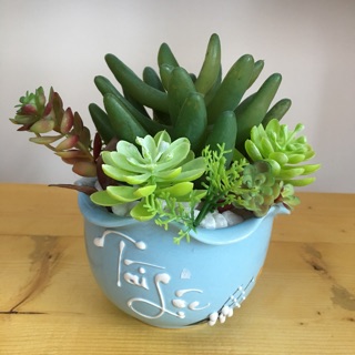 🌵 Bình hoa giả - Xương rồng đá Tài Lộc