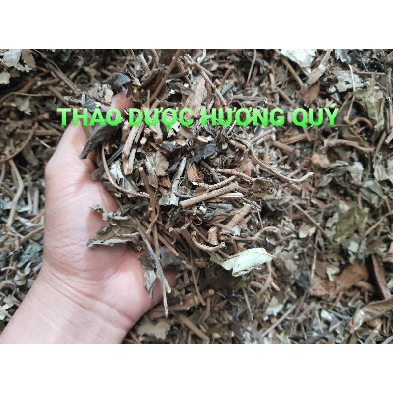 CÂY BẠC THAU KHÔ THÔNG TIỂU TIỆN (1KG)