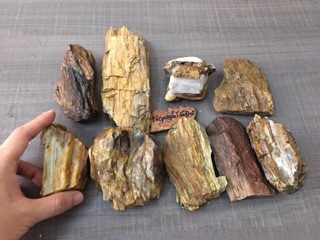 Gỗ hoá ngọc tự nhiên