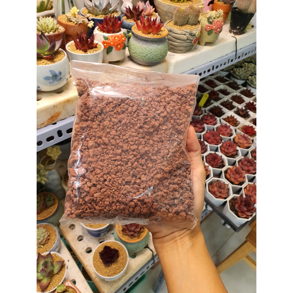 ĐÁ RÃI MẶT/TRỘN GIÁ THỂ DÀNH CHO SEN ĐÁ VÀ XƯƠNG RỒNG , MASATO