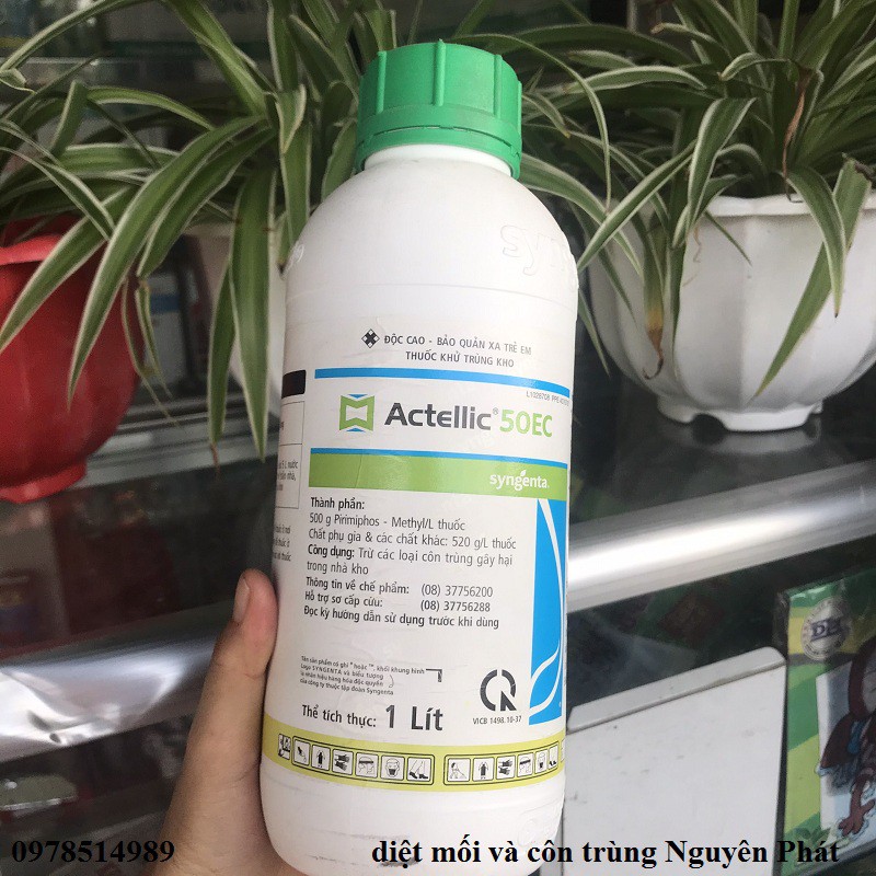 Thuốc phun khử trùng kho - diệt mọt nông sản Actellic 50EC