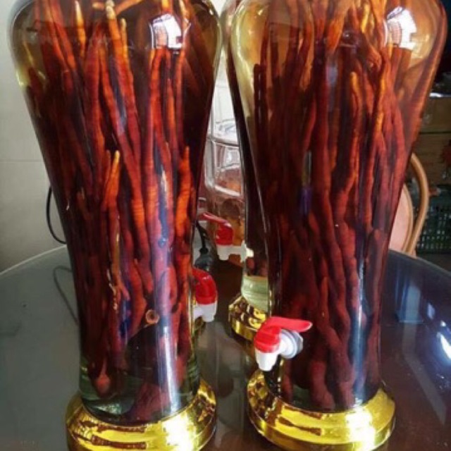 Nấm Linh Chi Sừng Hươu ( 1 kg )