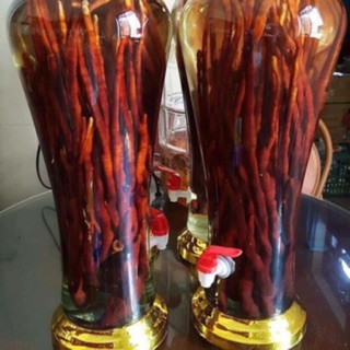 Nấm Linh Chi Sừng Hươu ( 1 kg )