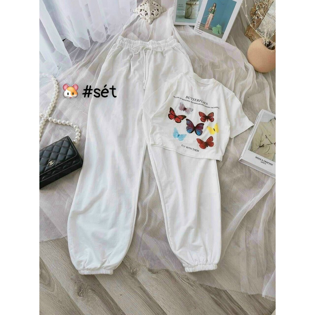 sét bộ thun borip croptop in hình