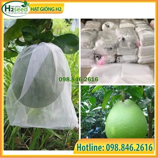 100 Túi bọc trái bưởi kích thước 30x30cm chống côn trùng, sương muối…