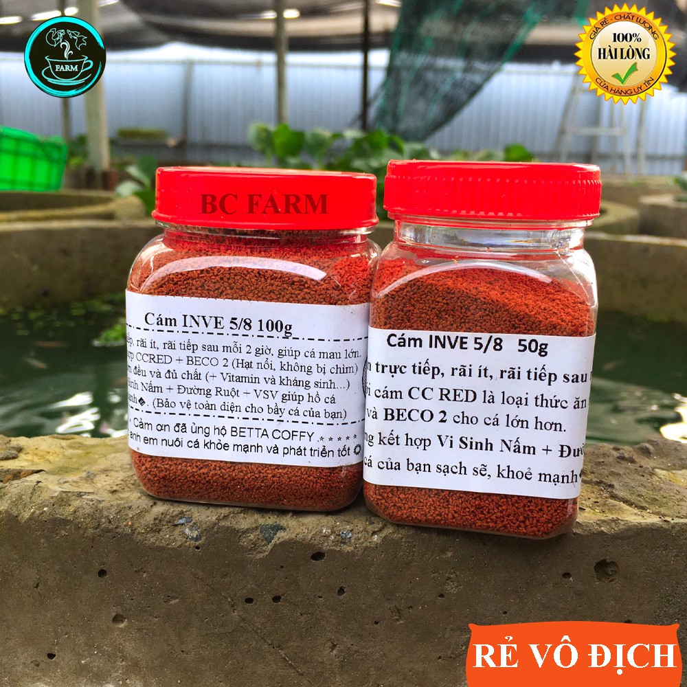Cám Inve 5/8 🍼 Thức ăn cho cá mới lớn