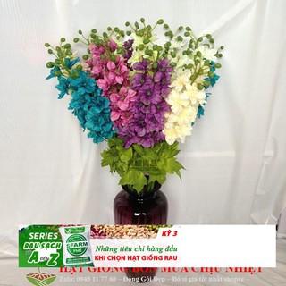 Hạt Giống Hoa Phi Yến - 10 Hạt ĐẾN MÙA TRỒNG TẾT