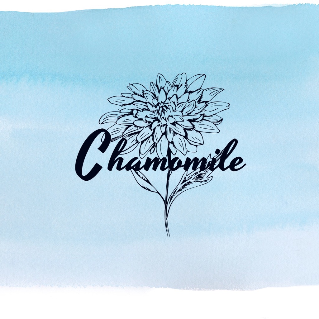 Chamomile Store 🌼