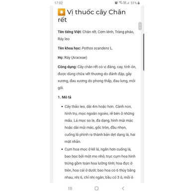 Cây chân rết bonsai tiểu cảnh, thủy sinh hồ cá