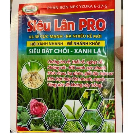 Siêu lân kích thích ra rễ và phân hóa mầm hoa