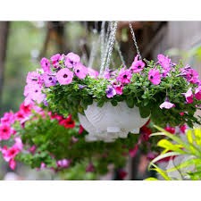 Chậu chảo treo xích kt 28cm