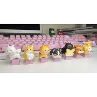 Keycap lẻ các dòng cún thú cưng trong nhà đáng yêu Nút bàn phím cơ