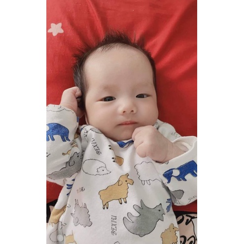 [Bé 5-19kg] Bộ dài tay thun lạnh nút cài vai Bexiu Bé Xíu trắng in hình bò sữa cho bé trai bé gái từ 5-19kg
