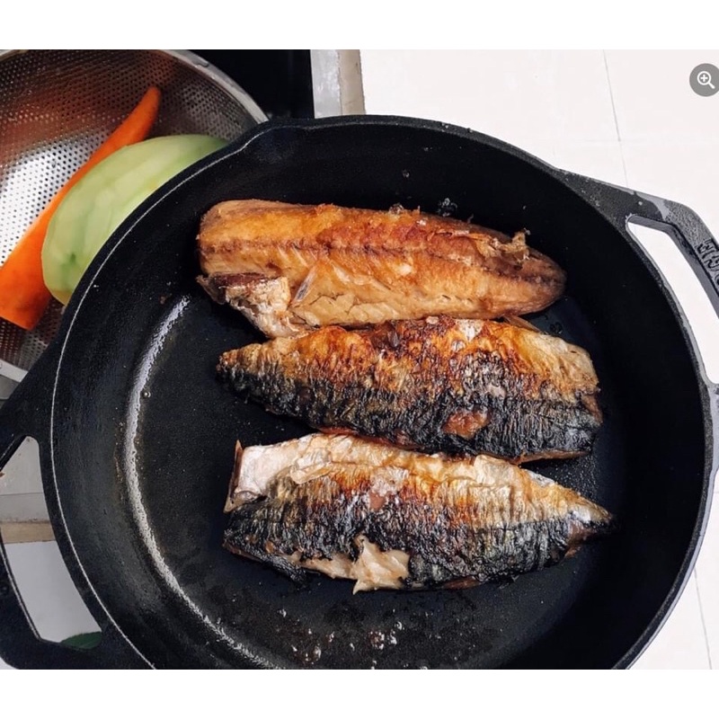 Chảo gang Lodge 26cm 2 quai