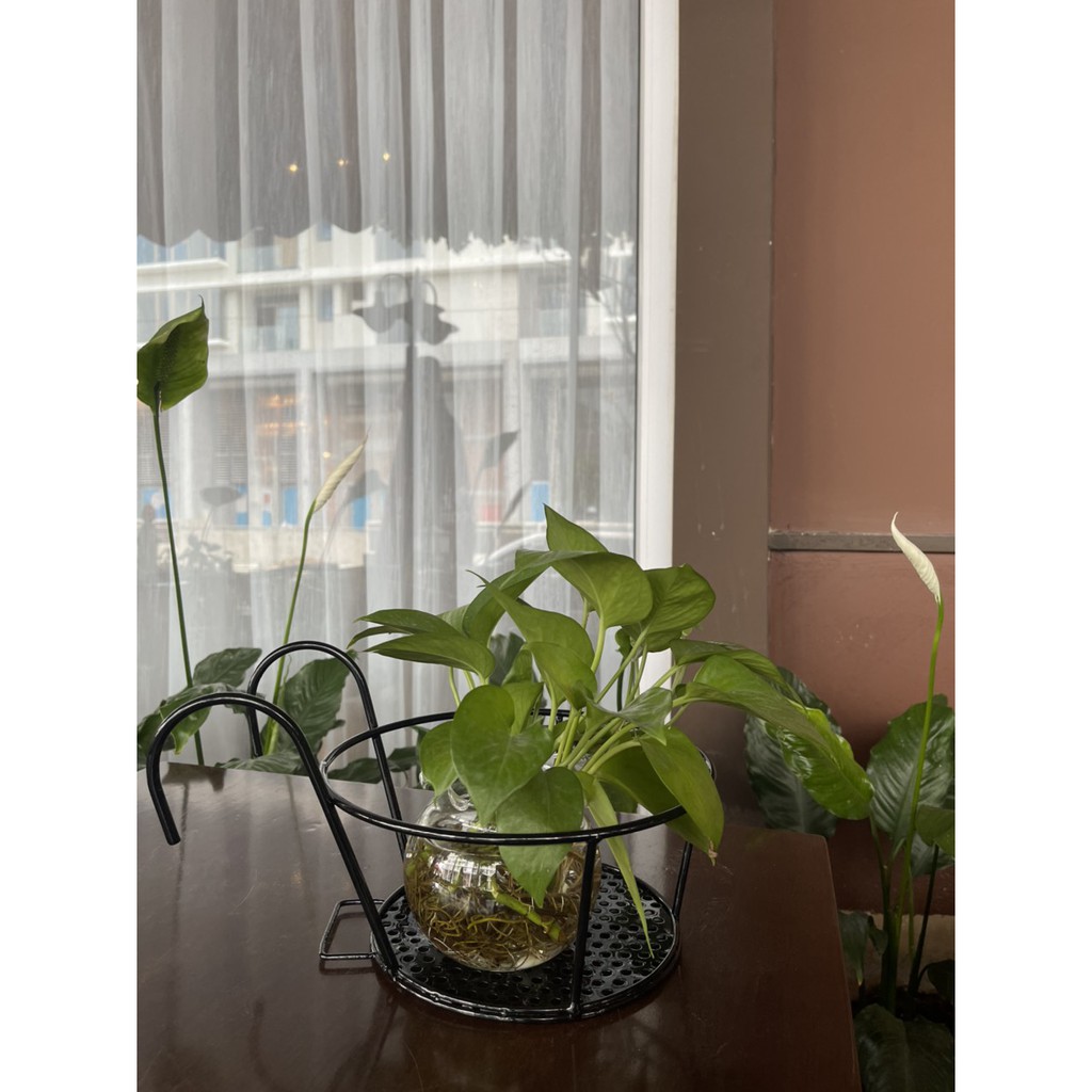 Giỏ treo sắt tròn ban công có đế lót + sơn tĩnh điện bộ 2 cái