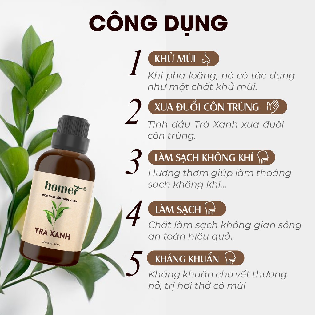 Tinh dầu Trà Xanh Bảo Lộc 20ml/100ml Homer - Green Tea Essential Oi - đạt chuẩn chất lượng kiểm định