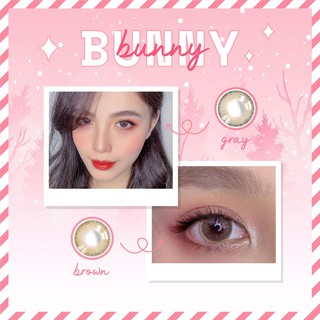 Kính áp tròng - BUNNY BROWN - GRAY