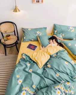 Bộ Drap & Chăn Phao Cotton Poly Cúc Hoạ Mi