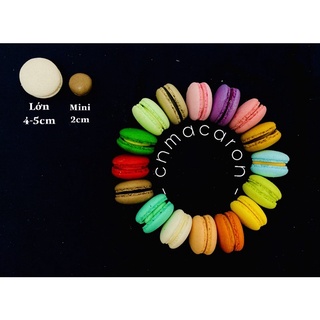 Set 50c macaron mini kèm hộp