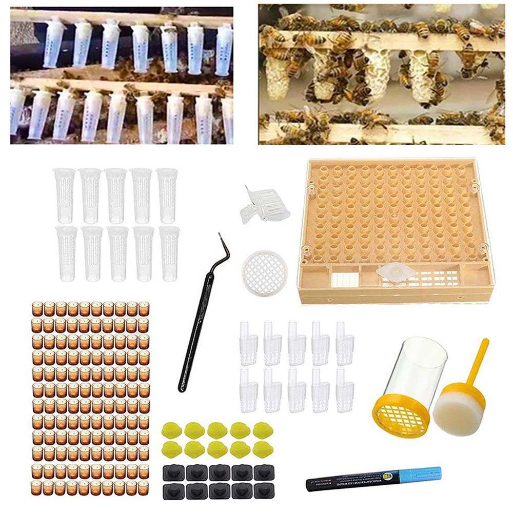 Hộp Dụng Cụ Nuôi Ong Chúa Chuyên Dụng