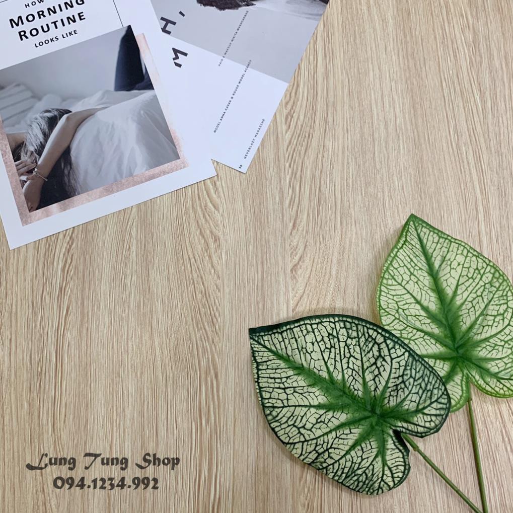 Phông nền giấy dán tường vân gỗ G4 - Thảm chụp hình vân gỗ , decal dán tường bàn tủ có sẵn keo