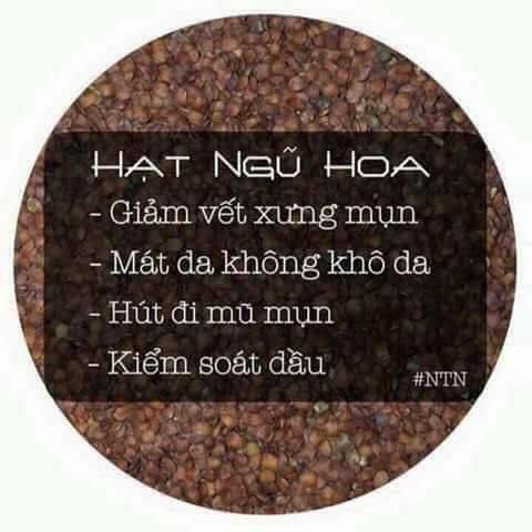 NGŨ HOA ORGANIC NGUYÊN CHẤT HẠT LOẠI TO, BAO XỊN 50ml