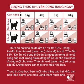 Thức ăn hạt cho mèo trưởng thành - Royal Canin Fit 32 2kg